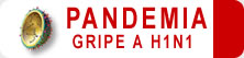 Pandemia Gripe A H1N1